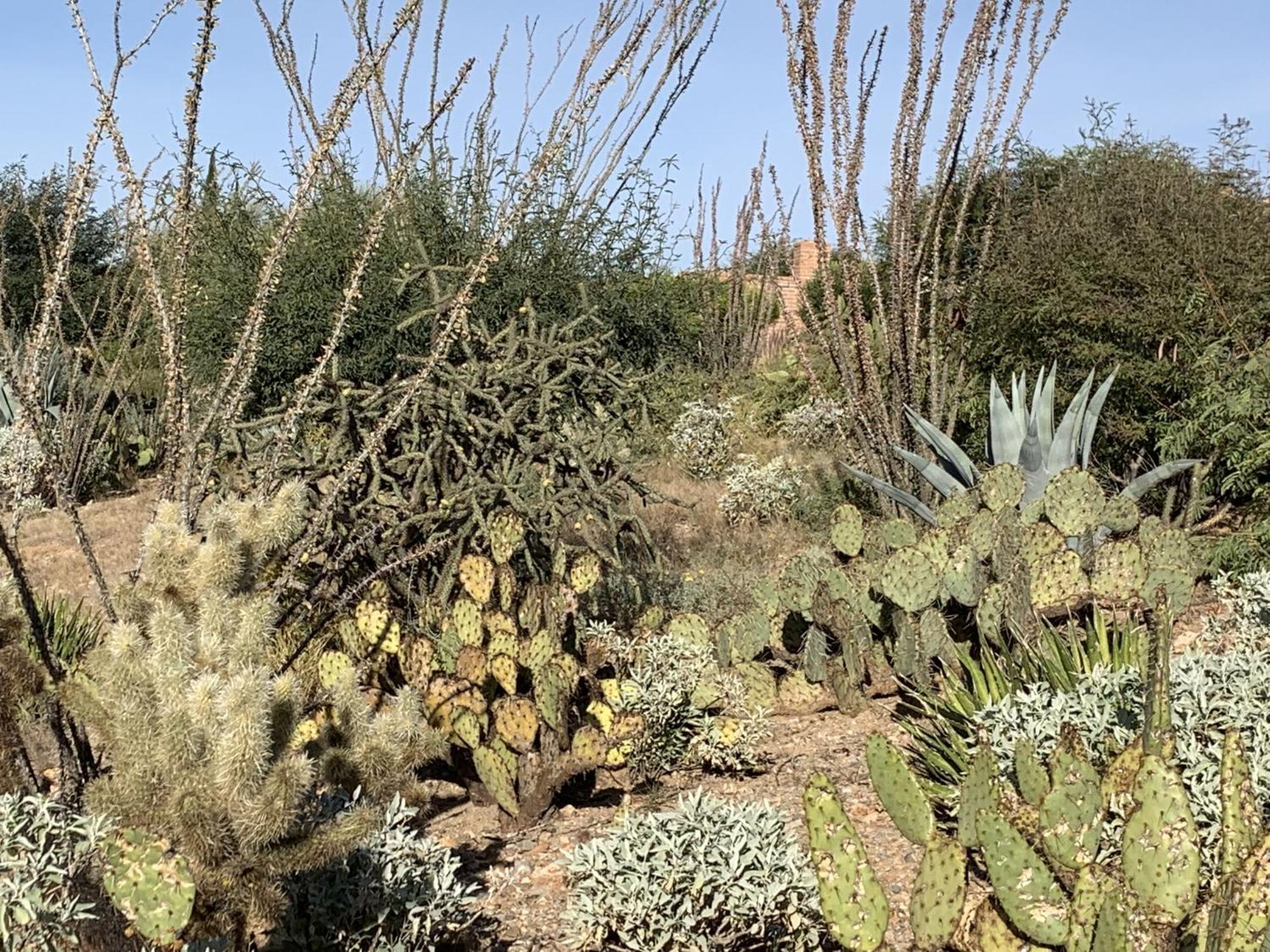 Garden Home With Mountain & Desert Views Home Green Valley Luaran gambar