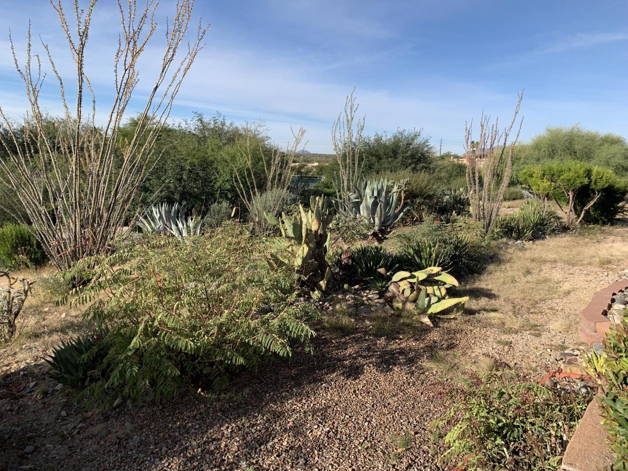 Garden Home With Mountain & Desert Views Home Green Valley Luaran gambar